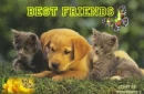 BEST FRIENDS