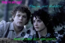 Frodo and Sam