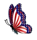 4TH OF JULY BUTTERFLY