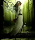 FAIRY IN THE WOODS