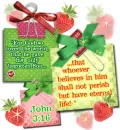 John 3:16