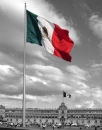 MEXiCAN FLAG