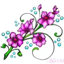 pink flowers