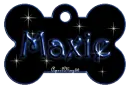 blue dog bone tag stars maxie