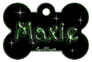 green dog bone tag stars maxie
