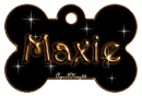 orange dog bone tag stars maxie
