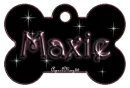 pink dog bone tag stars maxie