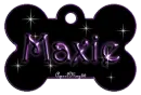 purple dog bone tag stars maxie