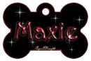 red dog bone tag stars maxie