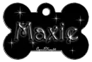 white dog bone tag stars maxie