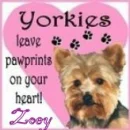 ZOEY