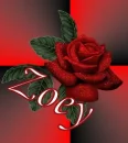 ZOEY WITH A ROSE