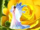 Fantasy
