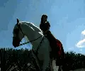 Horse, koÅ„