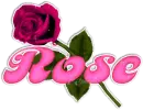 Rose