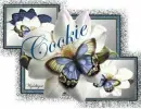 Magnolias and butterflies - Cookie