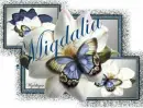 Magnolias and butterflies - Migdalia