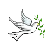Flying dove with olive
