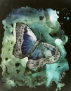 broken butterfly