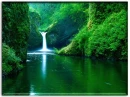 Peace & Serenity
