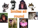 smiles all round