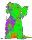 Rinbow ipawd dog