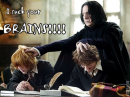 Harry and Ron 