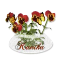 KANIKA