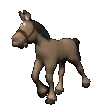 Funny Lookin' Horse