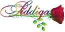 Siddiqa