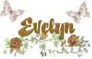 Evelyn