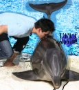 Lucky Dolphin!!!