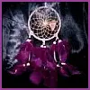 Purple DreamCatcher