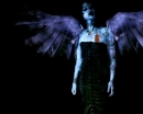 Fallen Angel