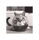 Cat fish