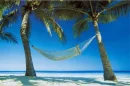 paradise