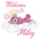 Welcome Miley bear