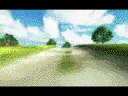 flying rabbit