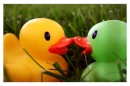 ducks 