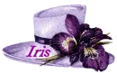 Iris