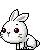 buNny icOn
