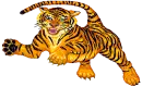 Rainbow tiger