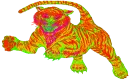 Rainbow tiger