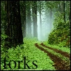 forks