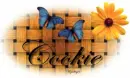 Basket Weave / Butterflies - Cookie