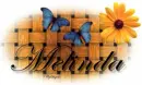 Basket Weave / Butterflies - Melinda