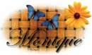 Basket Weave / Butterflies - Monique