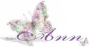 Butterflies - Ann