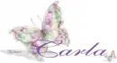 Butterflies - Carla