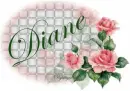 White Basket Weave / Roses - Diane